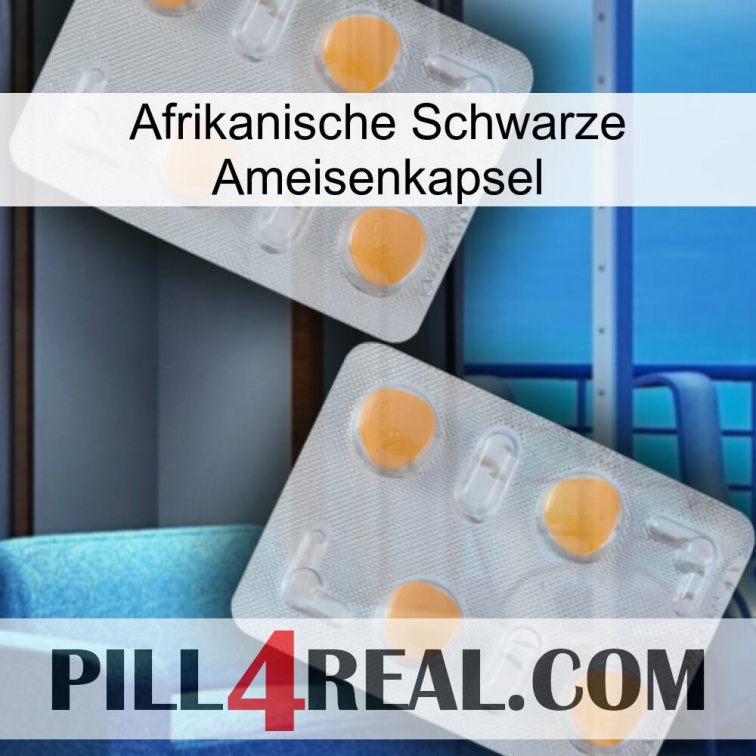 Africa Black Ant Capsule 25